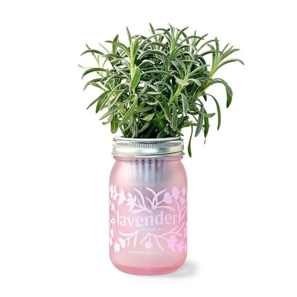 Modern Sprout 'Lavender' Pink Pint Mason Jar Grow Kit - Picture 1 of 5